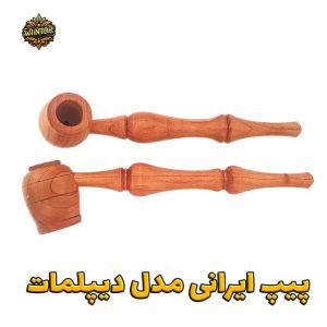 پیپ-ایرانی-دیپلمات-وینتور