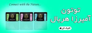توتون-هربال-آمیرزا