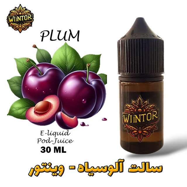 سالت-آلوسیاه-وینتور