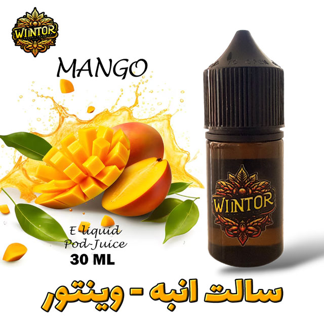 سالت-انبه-وینتور