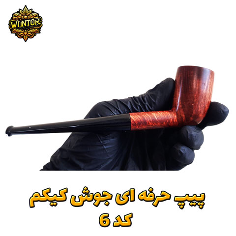پیپ-وینتور-6