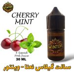 سالت-نیکوتین-گیلاس-نعنا-وینتور